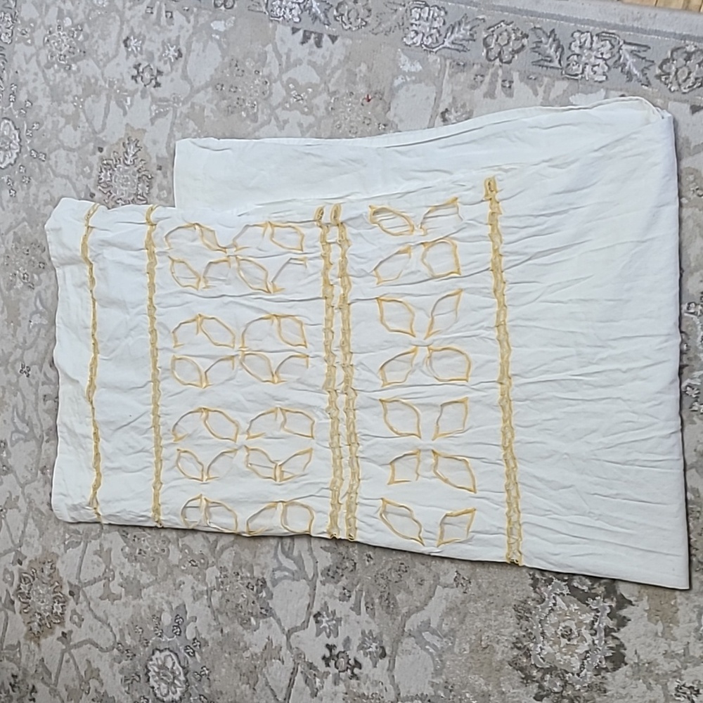 Anthropologie Curtain Panels 84 in